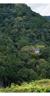 Kyoto by Robin Skjoldborg