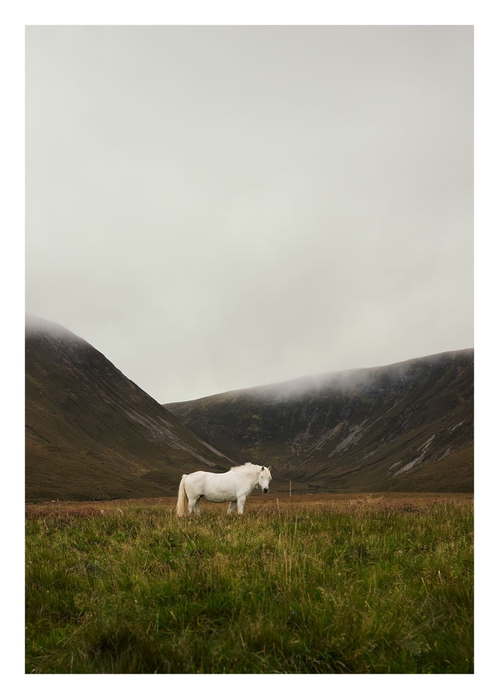 Solitude