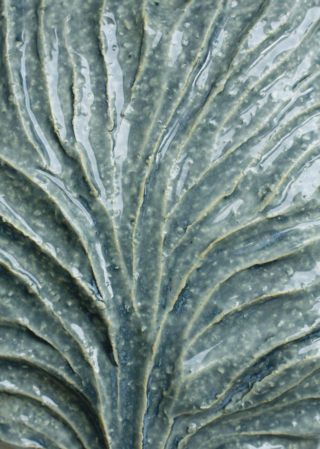 Seaweed No. 02 by Sille Clara