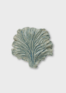 Seaweed No. 02