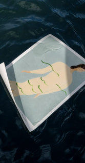 Pisces by Sofia Lind