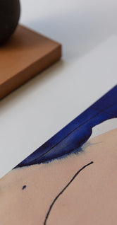 Dove 01 by Susanne Buch Petersen