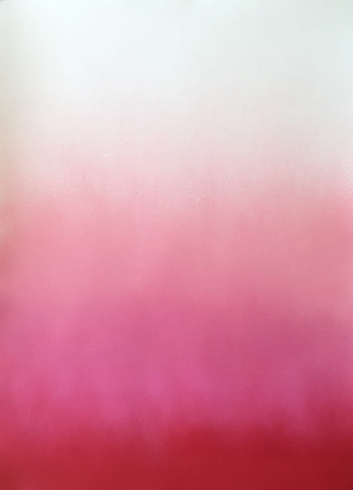 Hazy Pink by Anne Nowak