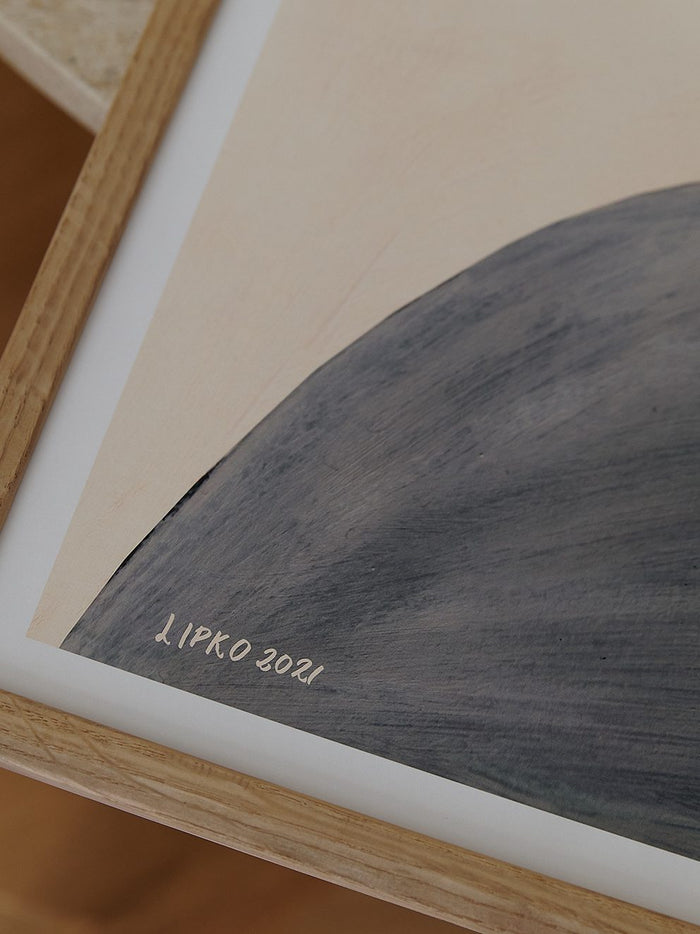 The Lipko Project