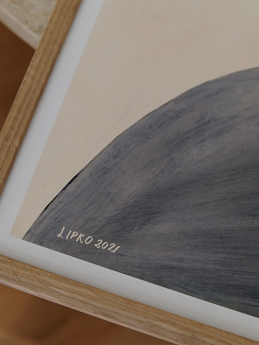 The Lipko Project
