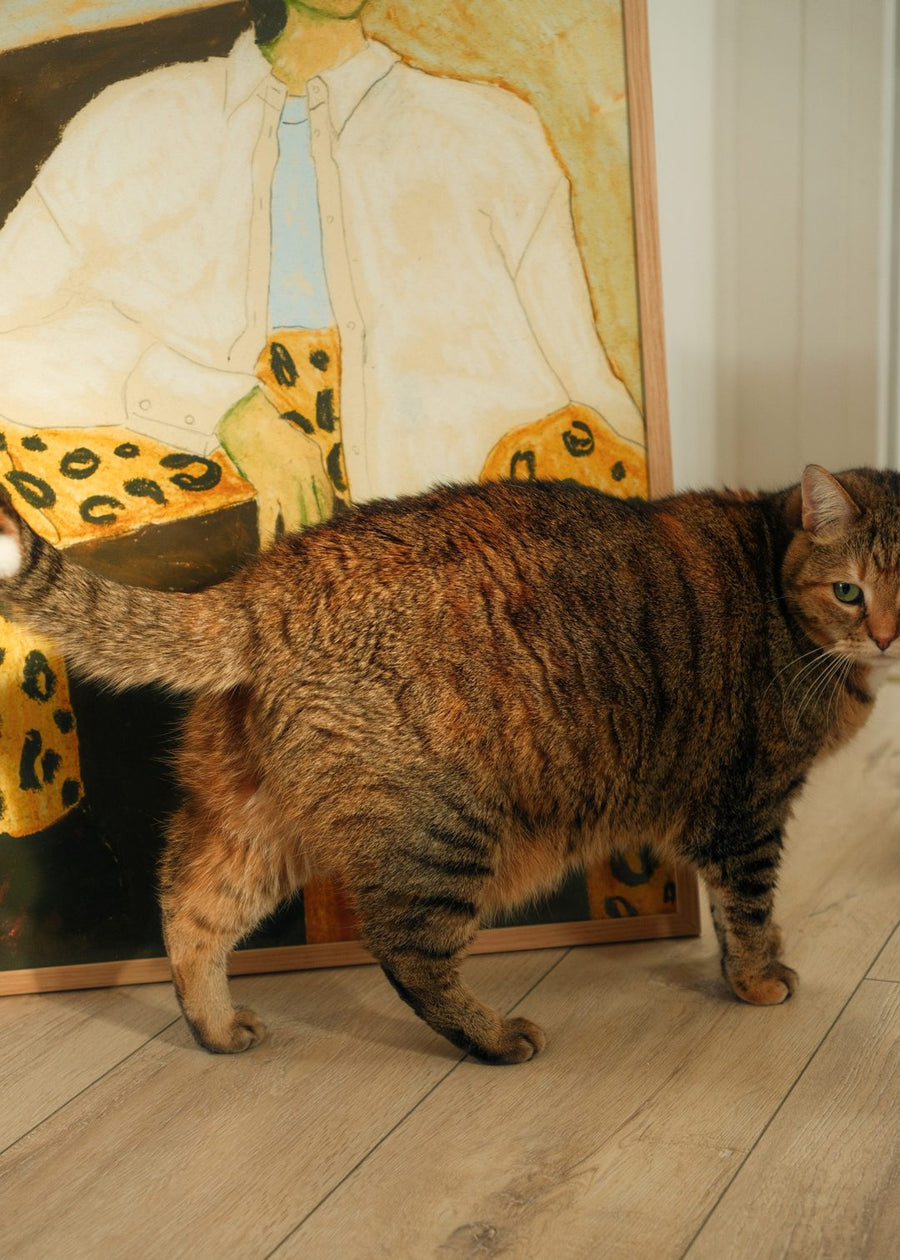 Home Stories - Chloe Desjeunes
