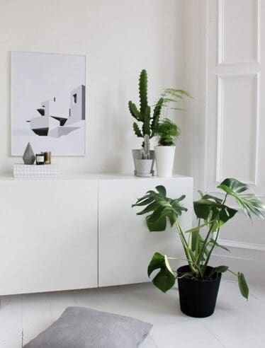 Go green | via ThePosterClub.com