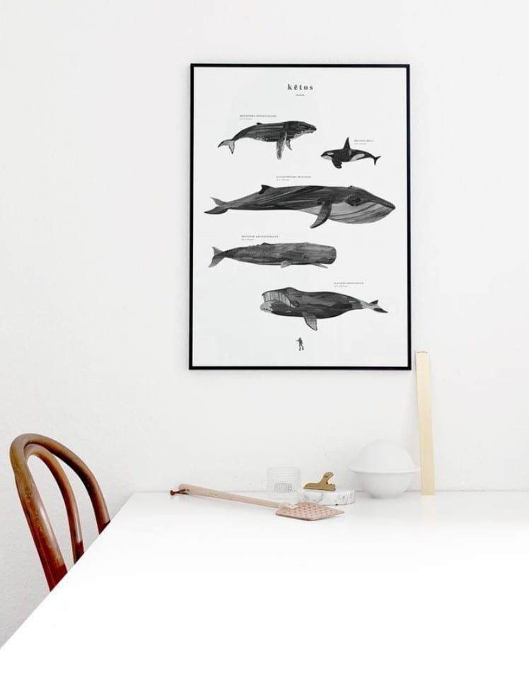 Kētos | via ThePosterClub.com