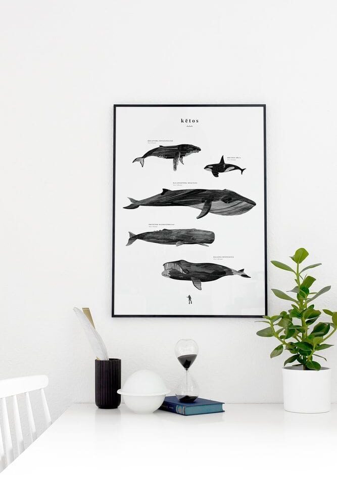 Featured Artist 'Coco Lapine' | via ThePosterClub.com