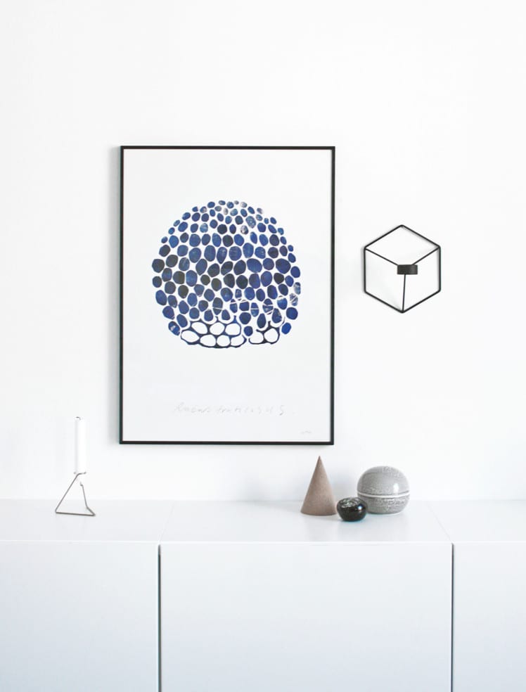 Rubus | via ThePosterClub.com