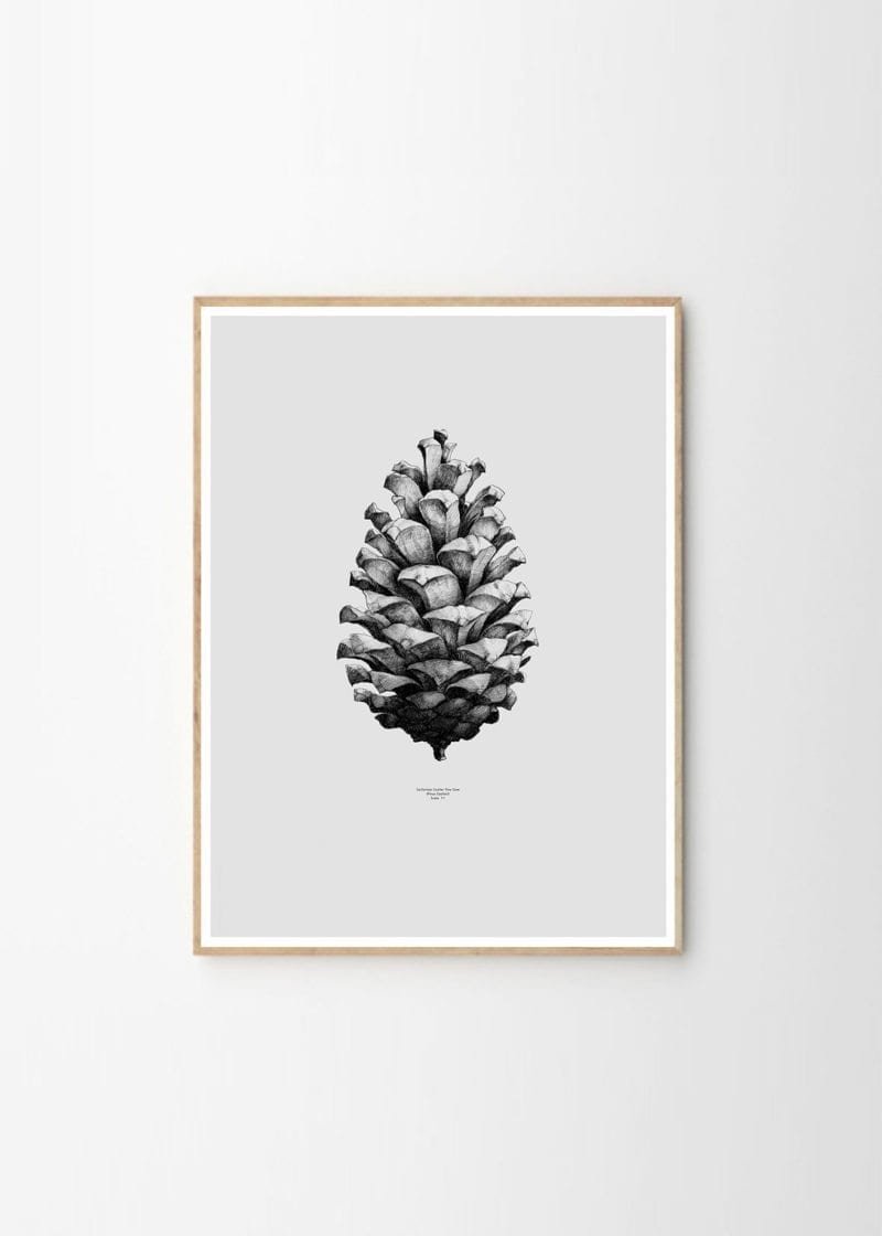 Paper Collective x Form us with love - Pine cone grey