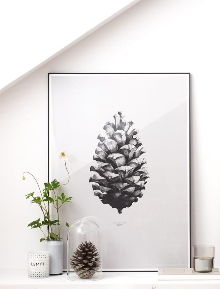 Pine cone | via ThePosterClub.com