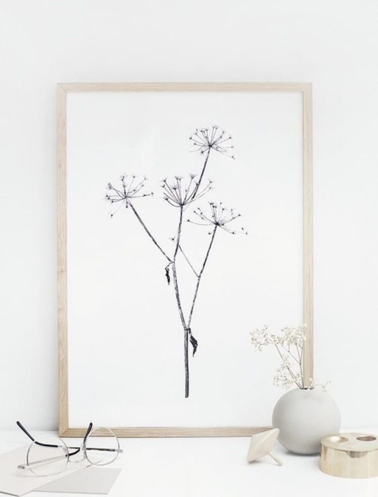 September Flowers | via ThePosterClub.com