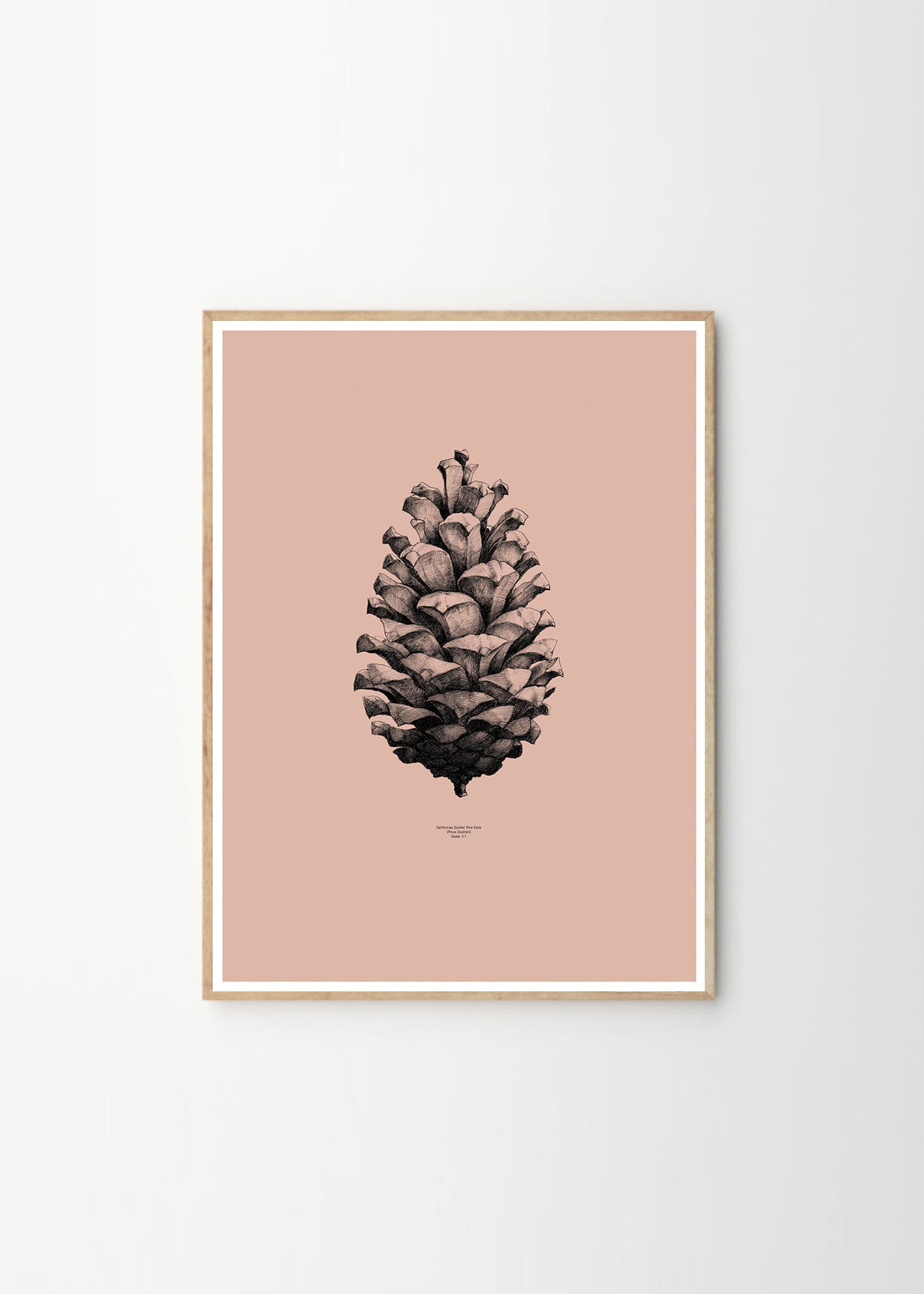 Paper Collective x Form us with love, Pinecone Comodo Pink
