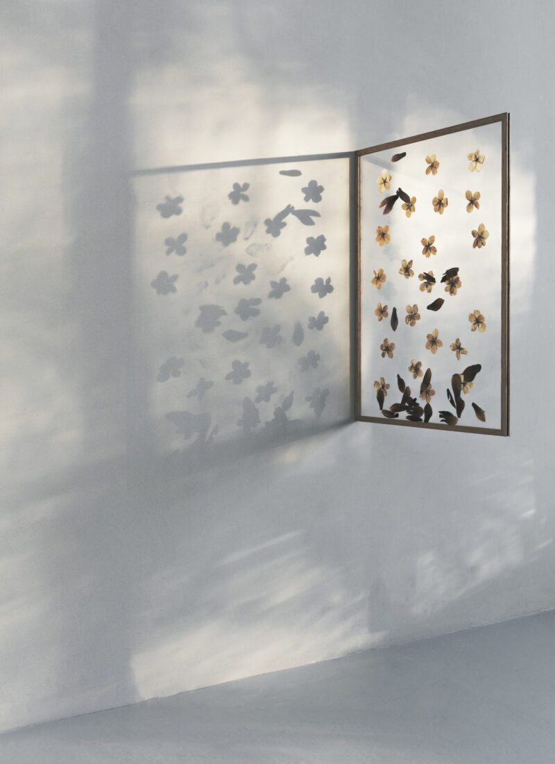 Transparent Moebe Oak Frame - THE POSTER CLUB