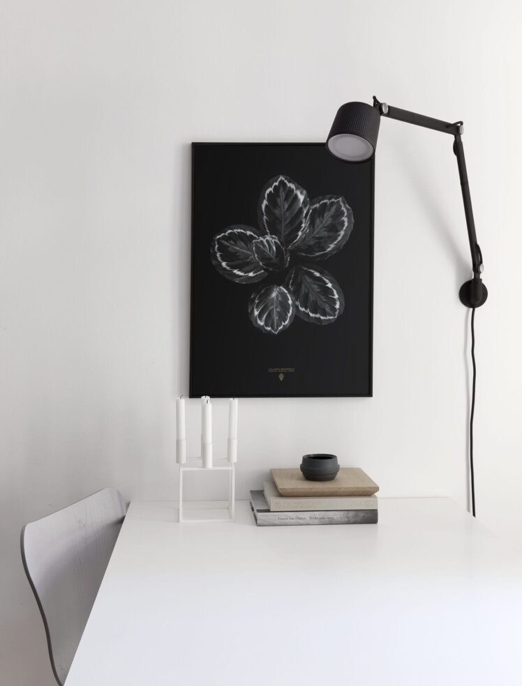 The series 'Natureza Morta' | via ThePosterClub.com