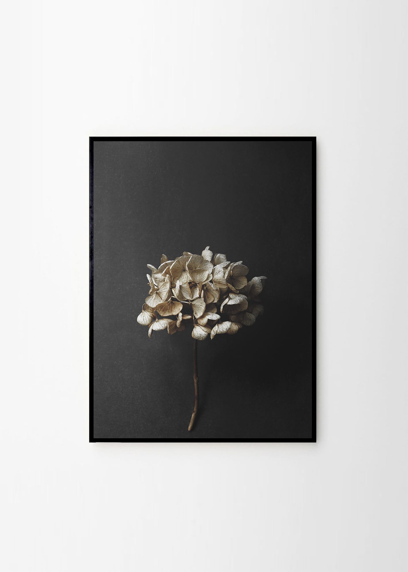 Paper Collective x Pia Winther - Still life 04