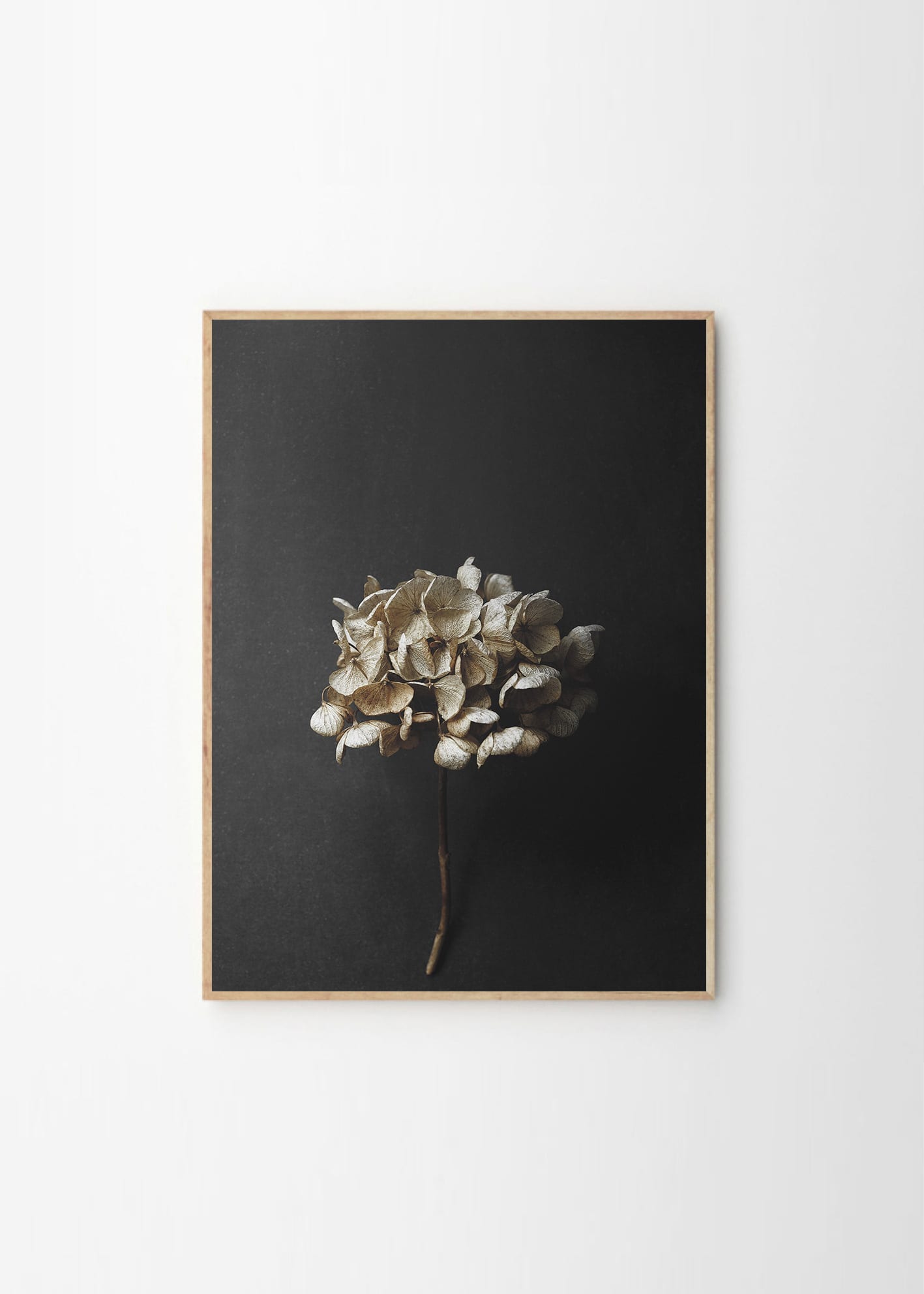 Paper Collective x Pia Winther - Still life 04