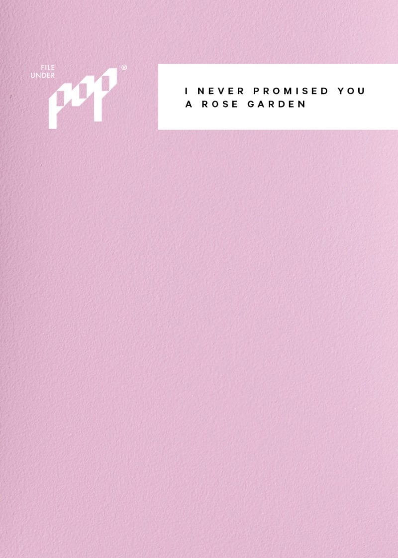 Frame Paint - I Never Promised You A Rose Garden