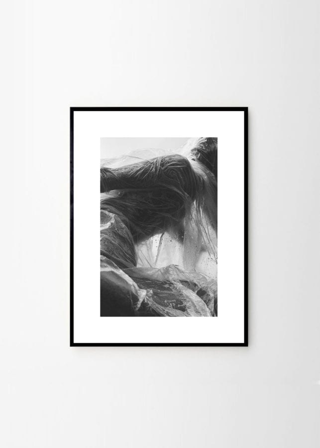 ALIUM, art print by Michael Rygaard - The Poster Club