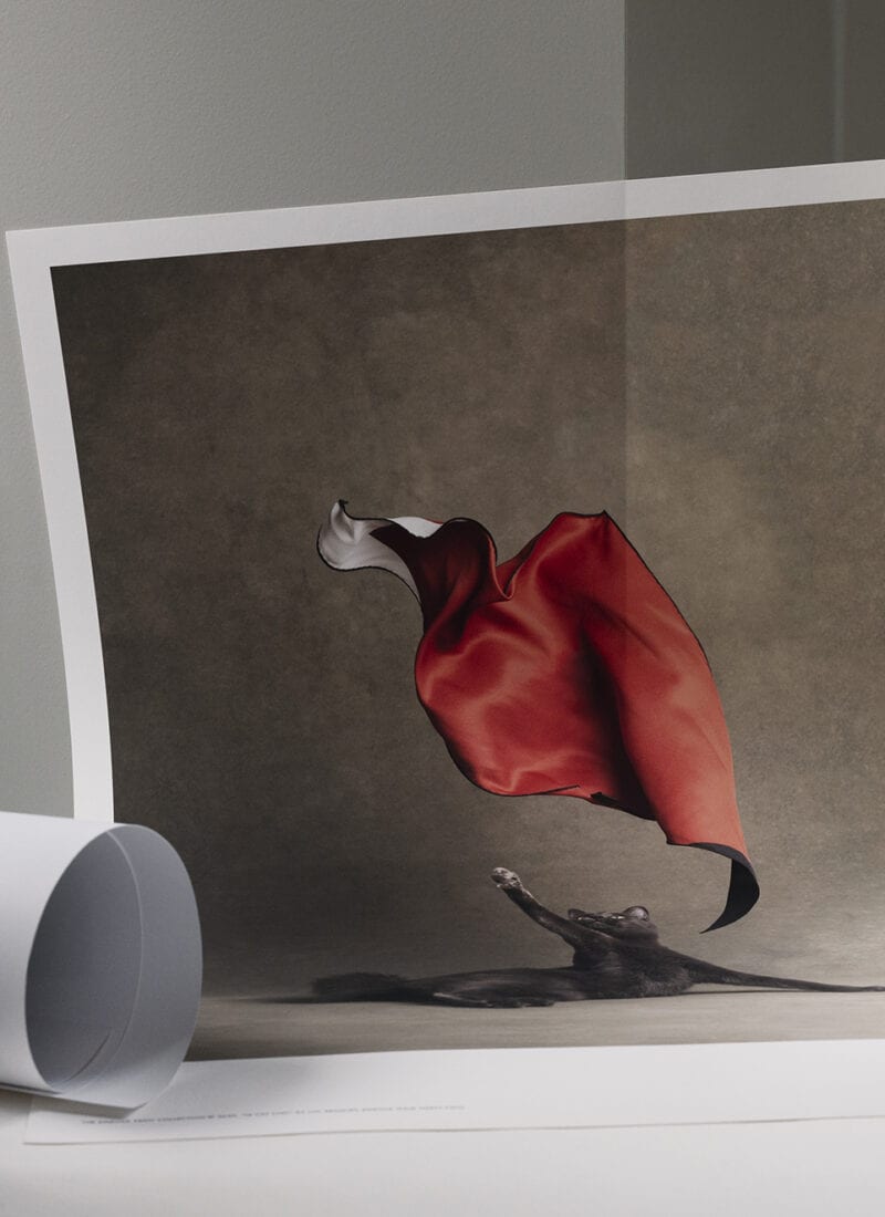 Kinfolk x ALIUM, art print by Luc Braquet - The Poster Club