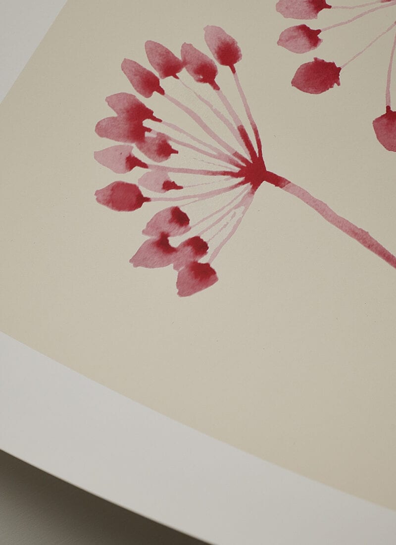 Ana Frois, Flowers 02 art print - THE POSTER CLUB
