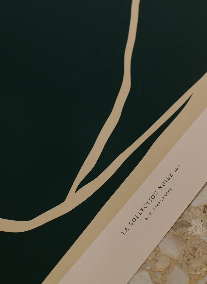 Mie & Him, Aves art print exclusively for - The Poster Club