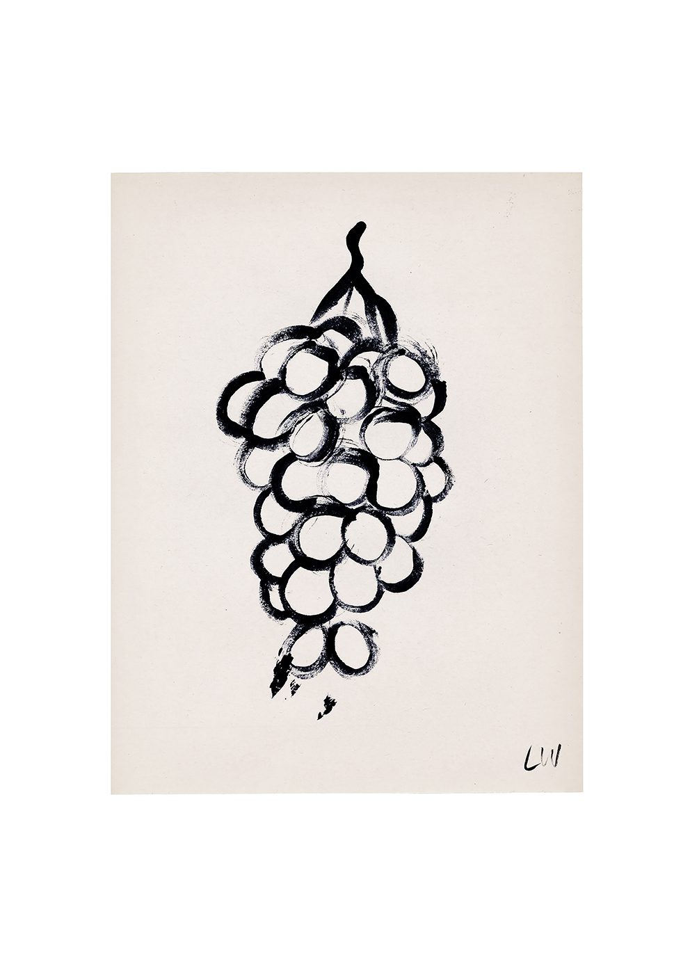 Grapes drawing and benefits!!!. Green, purple, or dark blue. Grapes are… |  by Heena | Medium