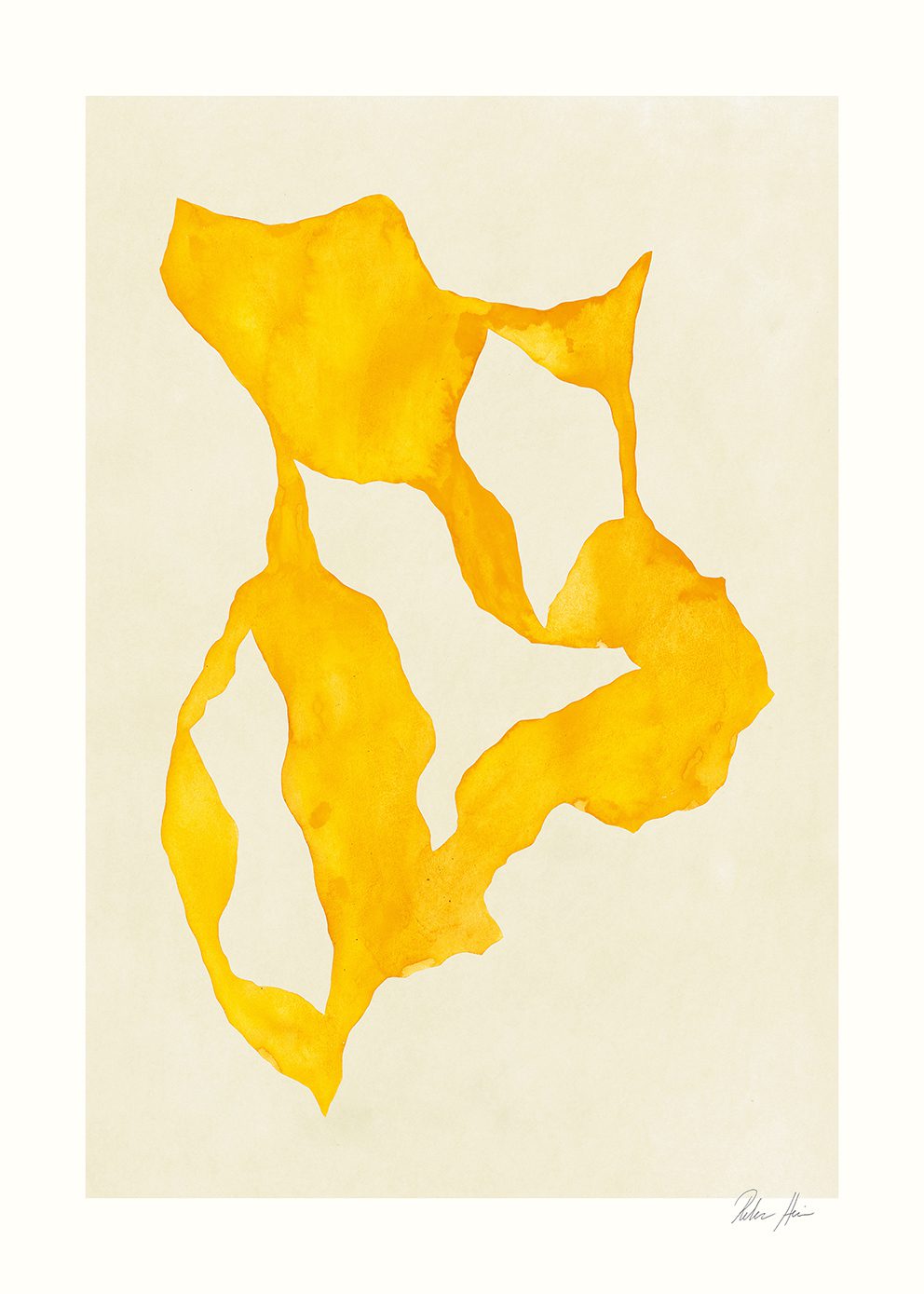 Rebecca_Hein_Shadow_No_14_Prod