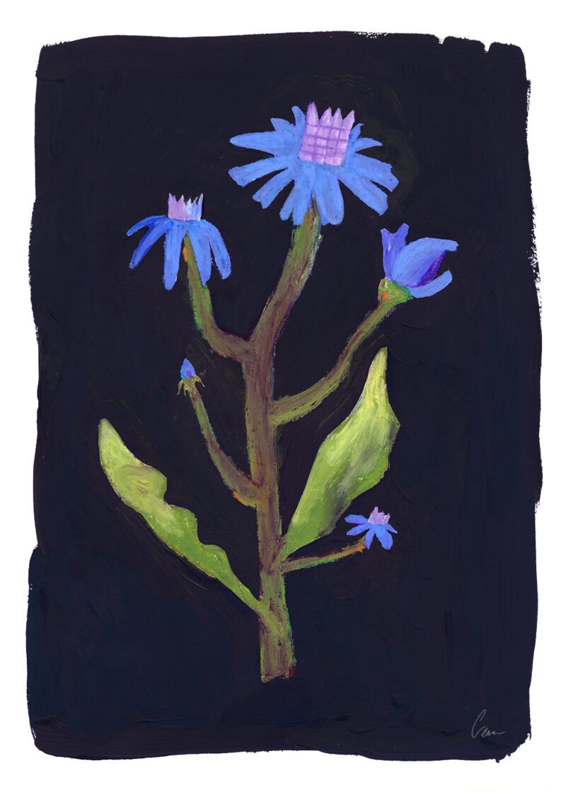 Might Flower by Clara Schicketanz