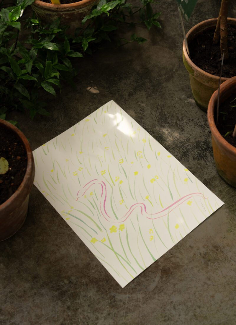 Daffodils and Snake