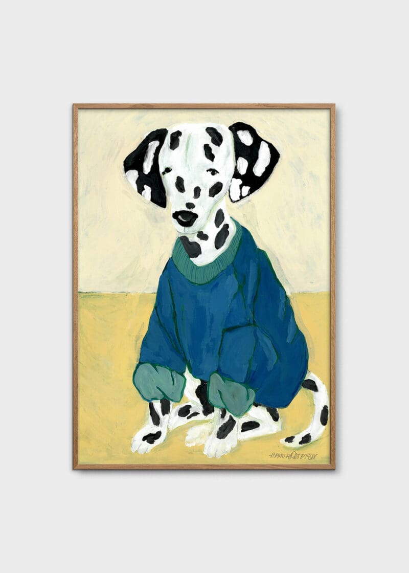 Dalmatian in Sweatshirt