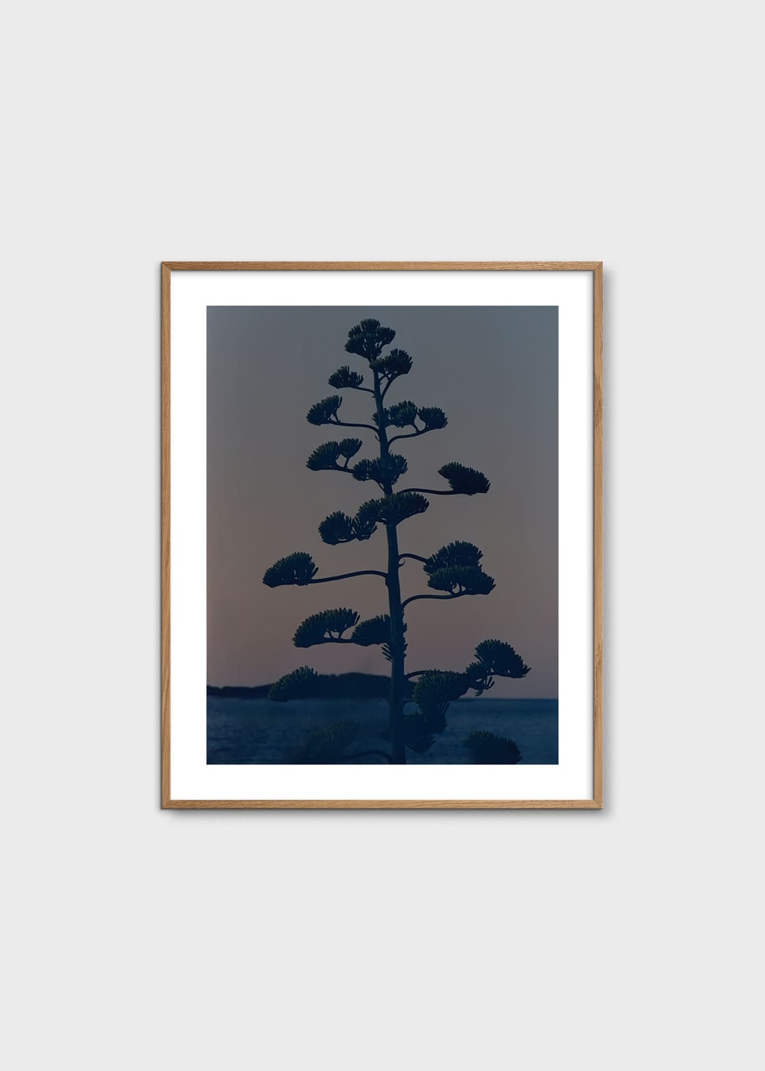 Armin Tehrani, 'Hvar Agave Flower' exclusively for The Poster Club