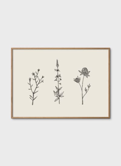 Three Friendly Bushels by Chloe Purpero Johnson