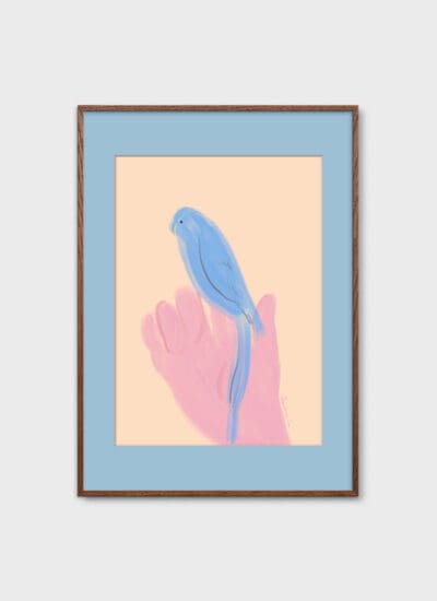 Parrot in Hand by Oamul