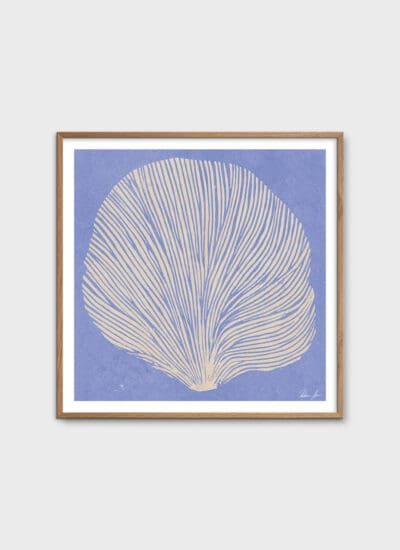 Sea Lavender by Rebecca Hein